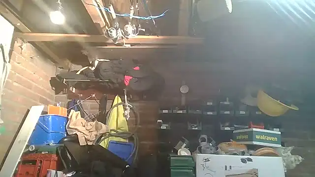 pietjebellxxn Live XXX chat