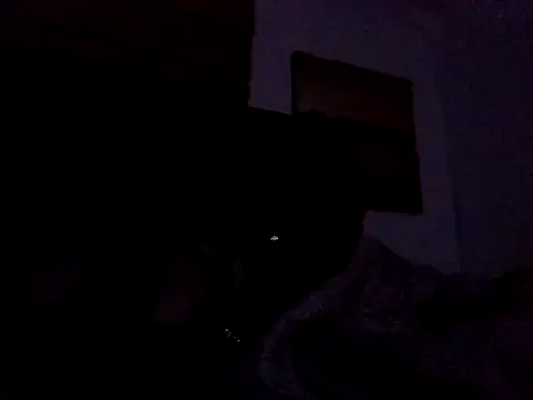 Show webcam de Blkstylion