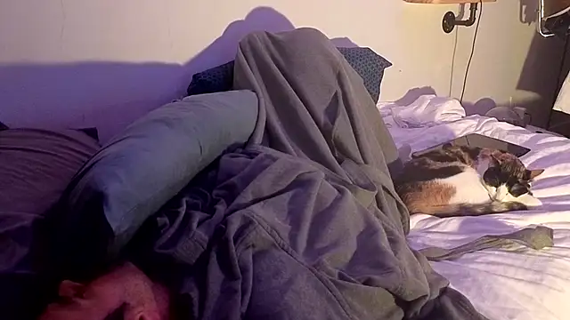 badboybrad11 Webcamshow