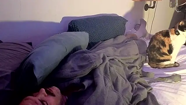 badboybrad11 webkamerás műsora