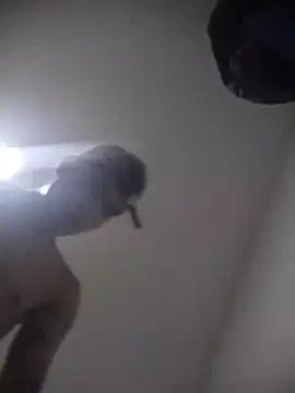 Stiwartss Webcam-Show