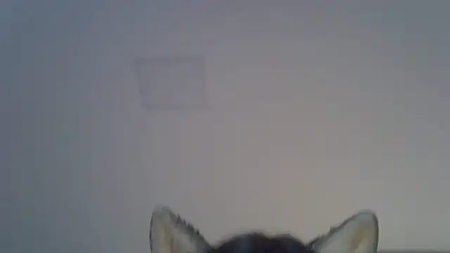 Show de SkinnyKitten na webcam