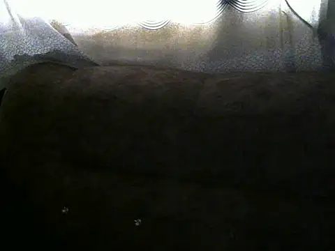 Ebonybb Live XXX-chat