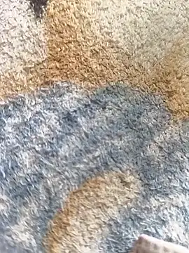 CplAnita 现场XXX聊天