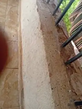 عرض كام taraaek