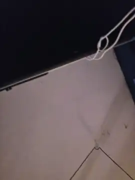 Chat XXX en directo de ctguybj