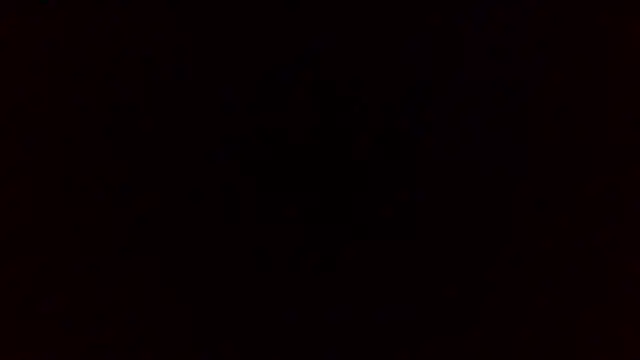 danistrial 现场XXX聊天