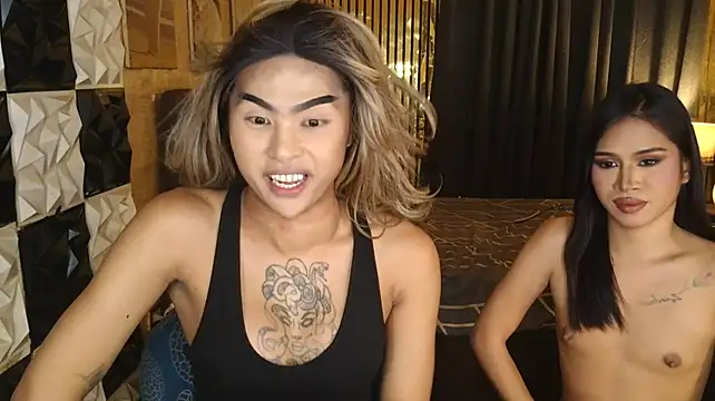 MassiveCockTrans Obrolan Langsung XXX