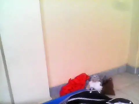 Chat XXX ao vivo de sexyboobs_bigass