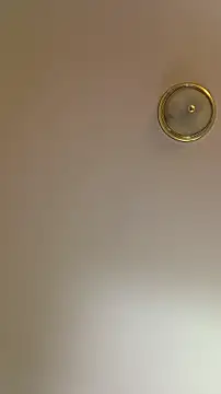 piggylatino's Live XXX Chat