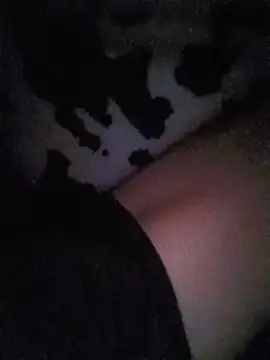 Bnvrgsx3n Webbikameraesitys