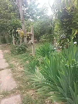 ONDAD Obrolan Langsung XXX