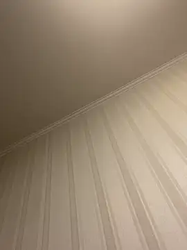 Frosl Live XXX-chat