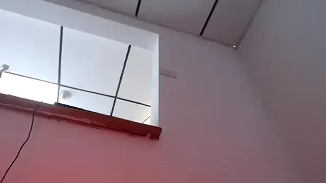 transformen Webcam show
