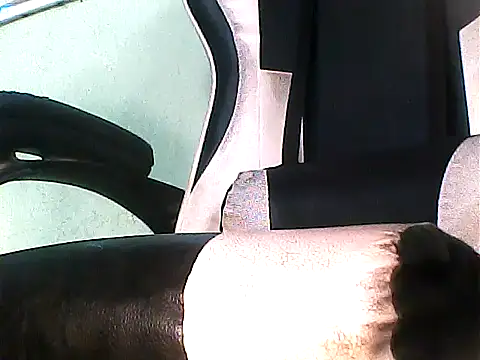 SATYARANJAN-SAHU – webcam-show
