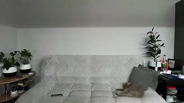 jainesummer's Live XXX Chat