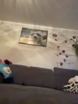 Netflixundcock Webcam-Show