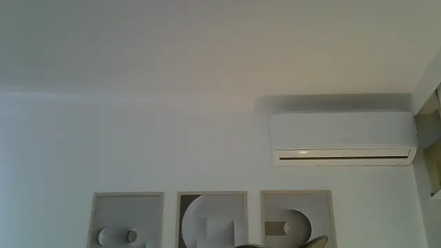 Show de webcam de SkinnyKitten