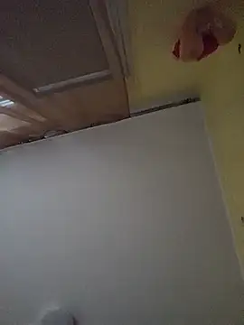 titok99n Webbikameraesitys