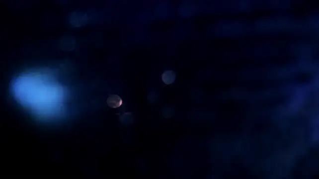 JacobStonne's Live XXX Chat