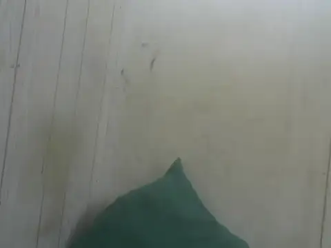 Show Webcam de Prikev38452