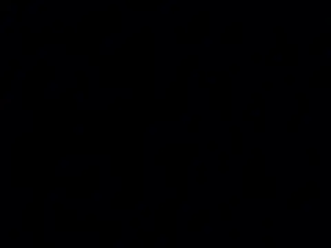 ROBOSTALLION live XXX chat