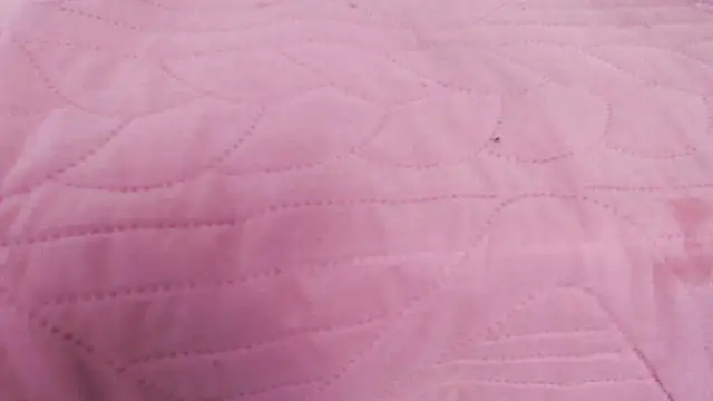Emma_Foxi Obrolan Langsung XXX