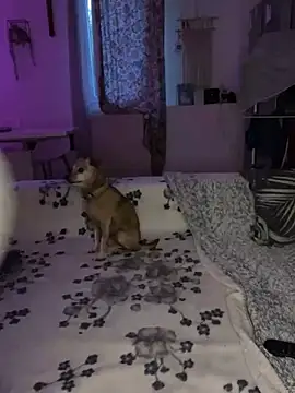 XXX chat uživo modela BruneFatal