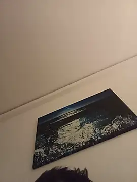 dolcenick's Webcam Show