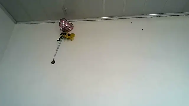 Онлайн чат XXX gaby_trent