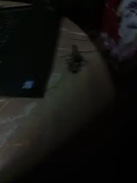 MaSimo_23 Obrolan Langsung XXX