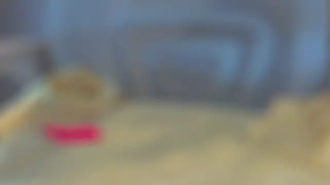 Chat XXX ao vivo de sinteas