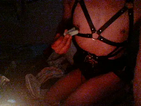 Show de Sumipirsitos na webcam