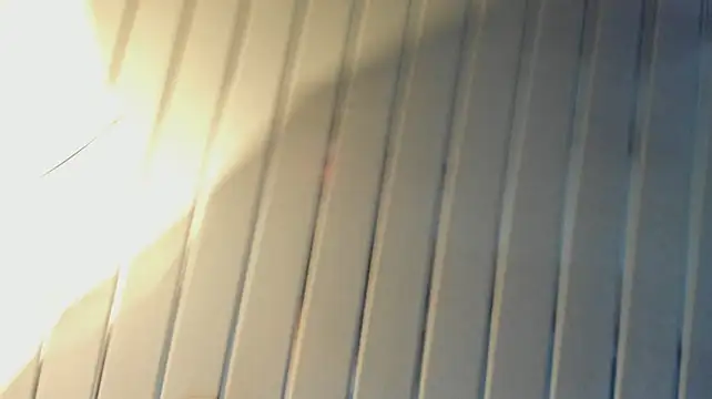 NickWild Chat XXX live