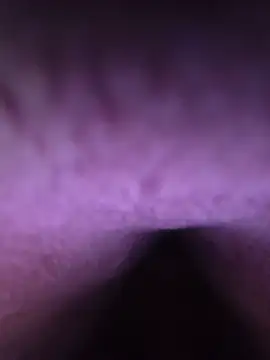 3-7hou Webcam show