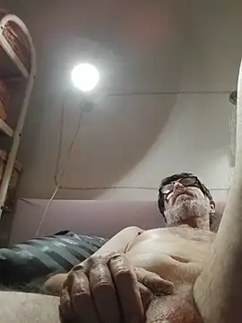 felice66 라이브 XXX 채팅