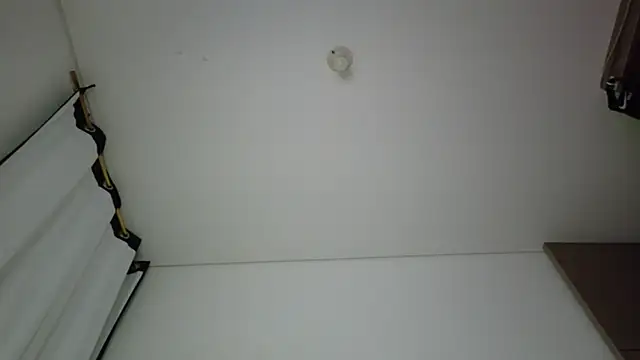 bully_boss Webcam show
