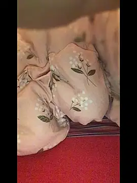 FleckedAlbum Show Webcam