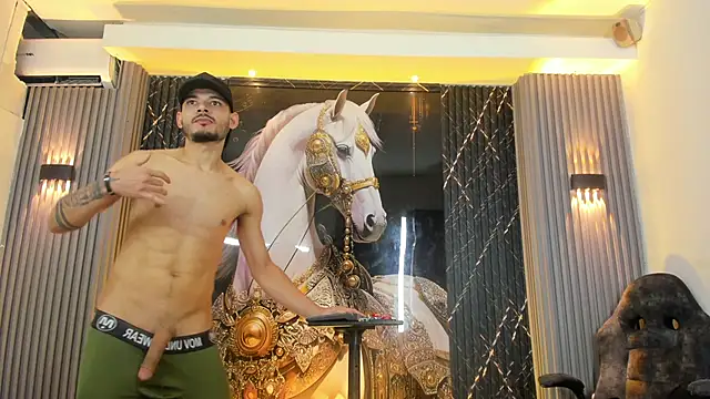 แชท XXX สดของ RitterBeyondLimits