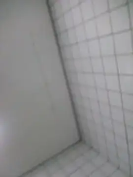 Show webcam de omotaro