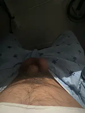 Show Webcam de awesomemilkss