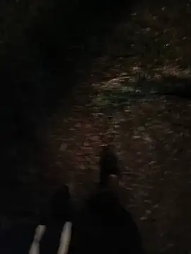Dansosmith Chat XXX live