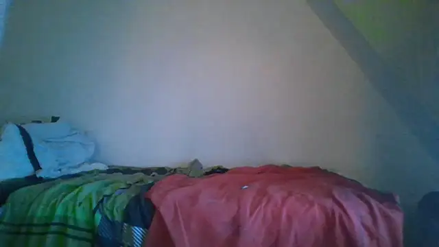 Show de webcam de NordicGerman