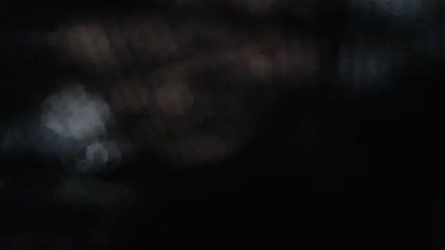 pnp_party Шоу с уебкамера