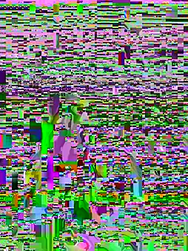 P_A_U_L_I_N_A_のライブXXXチャット