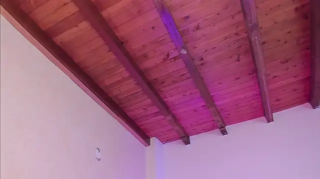 rikystar_and_luna Live XXX-Chat