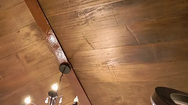 Stellaciel_のライブXXXチャット