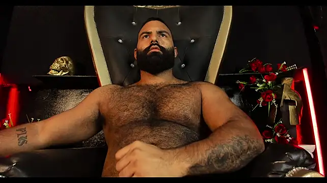 Chat XXX ao vivo de BeardAndrew
