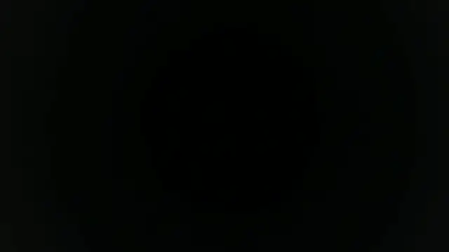 Show webcam de 2damnfreaky
