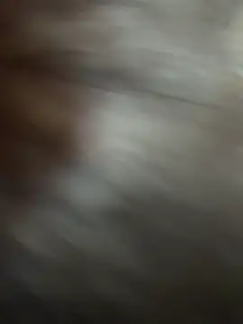 VendiMur 라이브 XXX 채팅